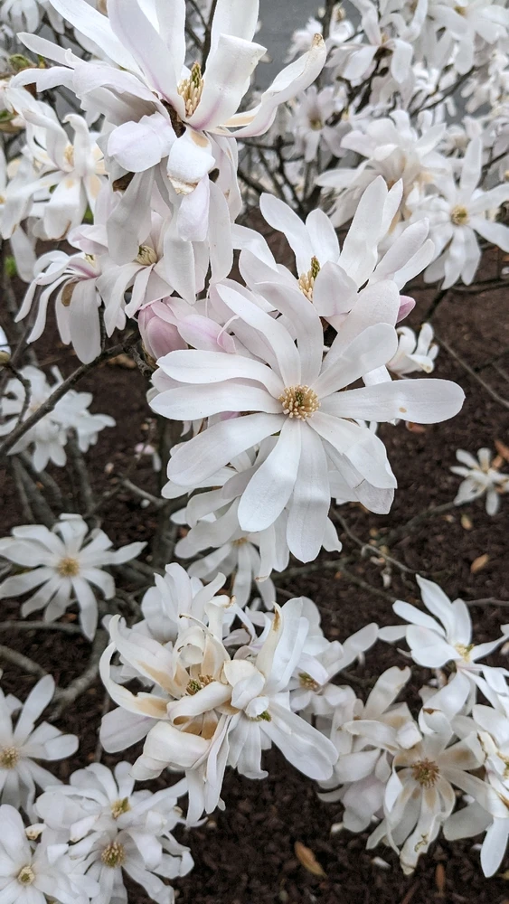 GIF uploaded by Vege