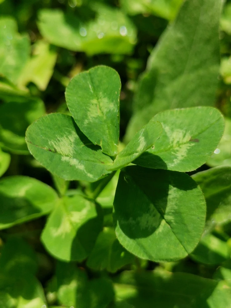 GIF uploaded by vlad