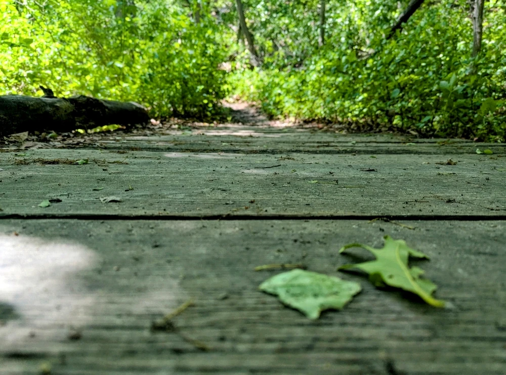 GIF uploaded by Melissa