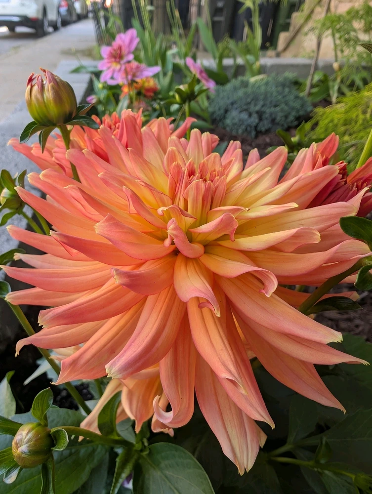 Image uploaded by Daniel