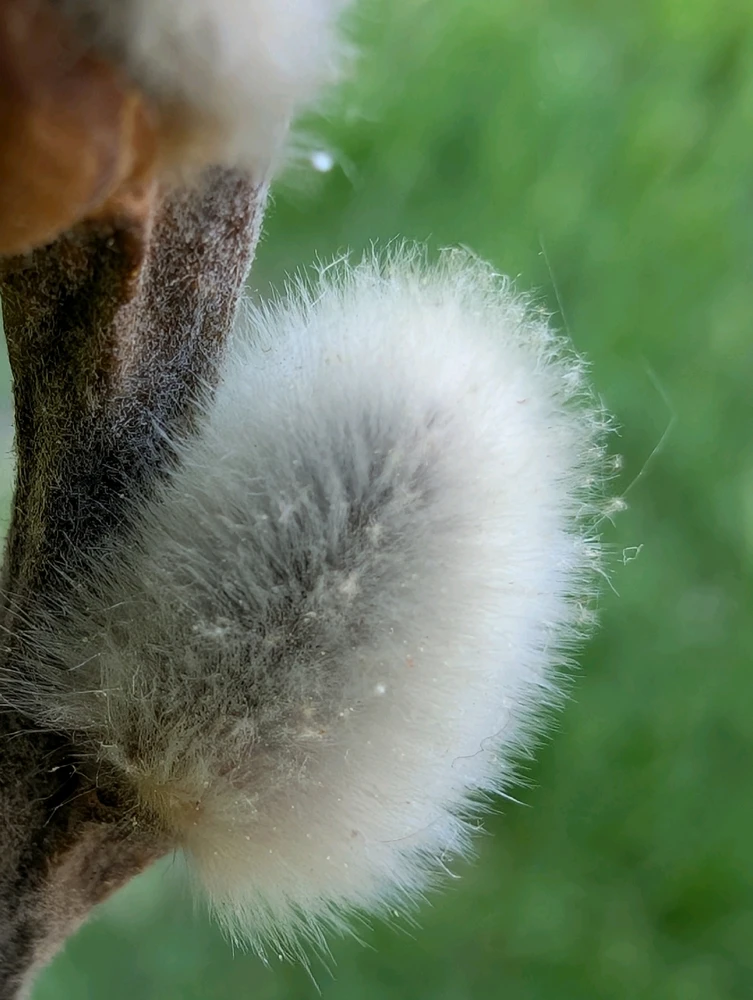 Image uploaded by Daniel