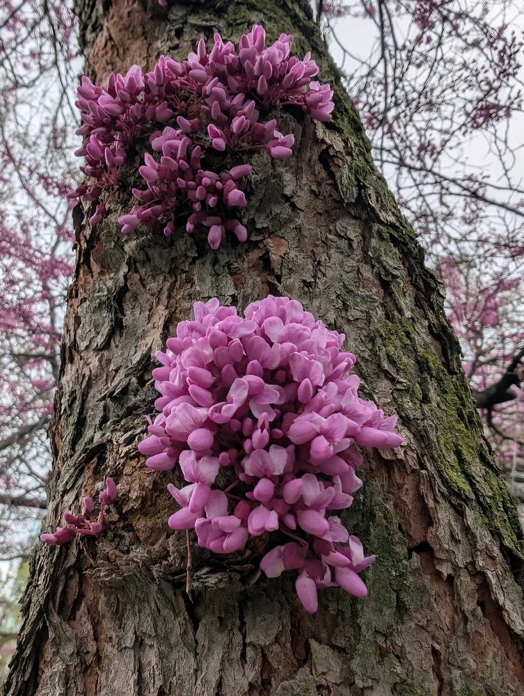 Image uploaded by Daniel