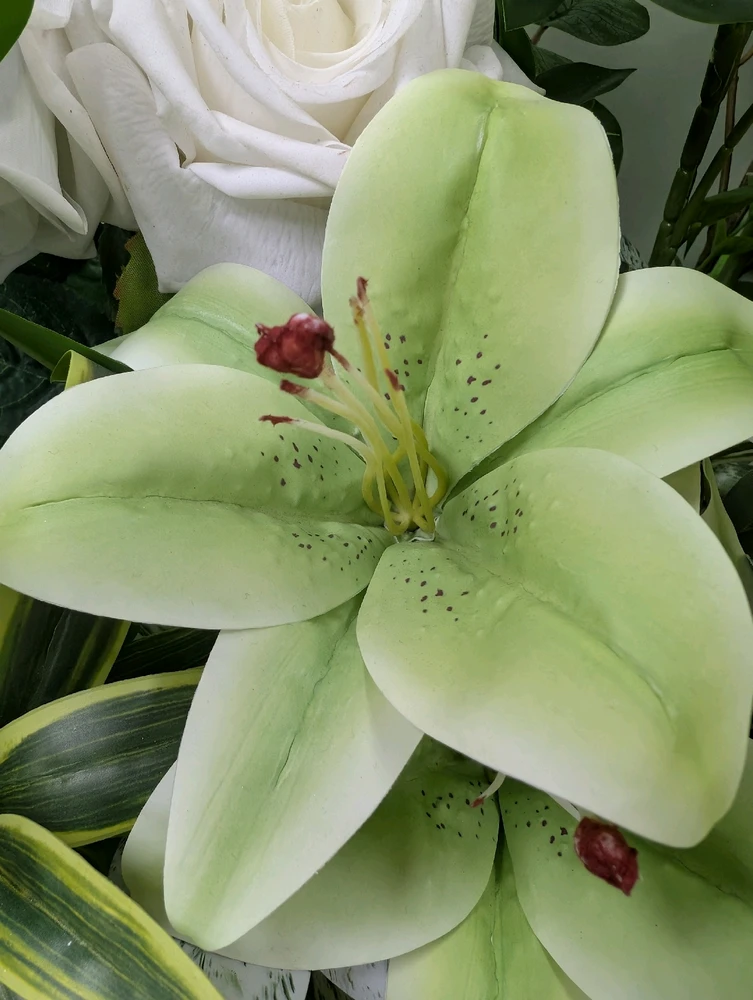 Image uploaded by Daniel