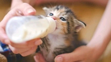 Image uploaded by Ariana