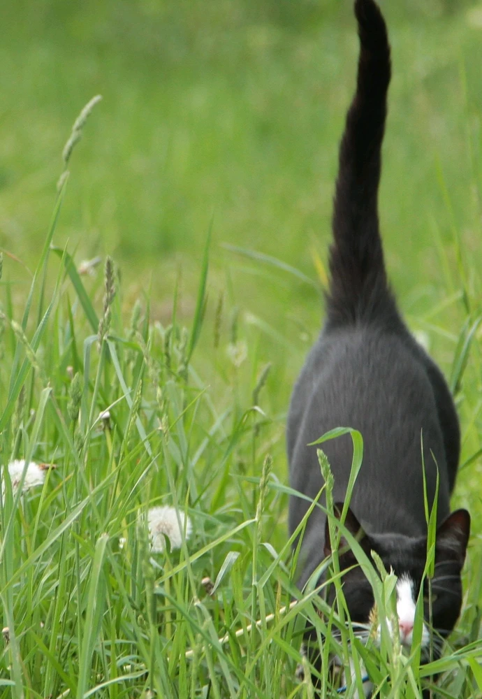 GIF uploaded by Parker