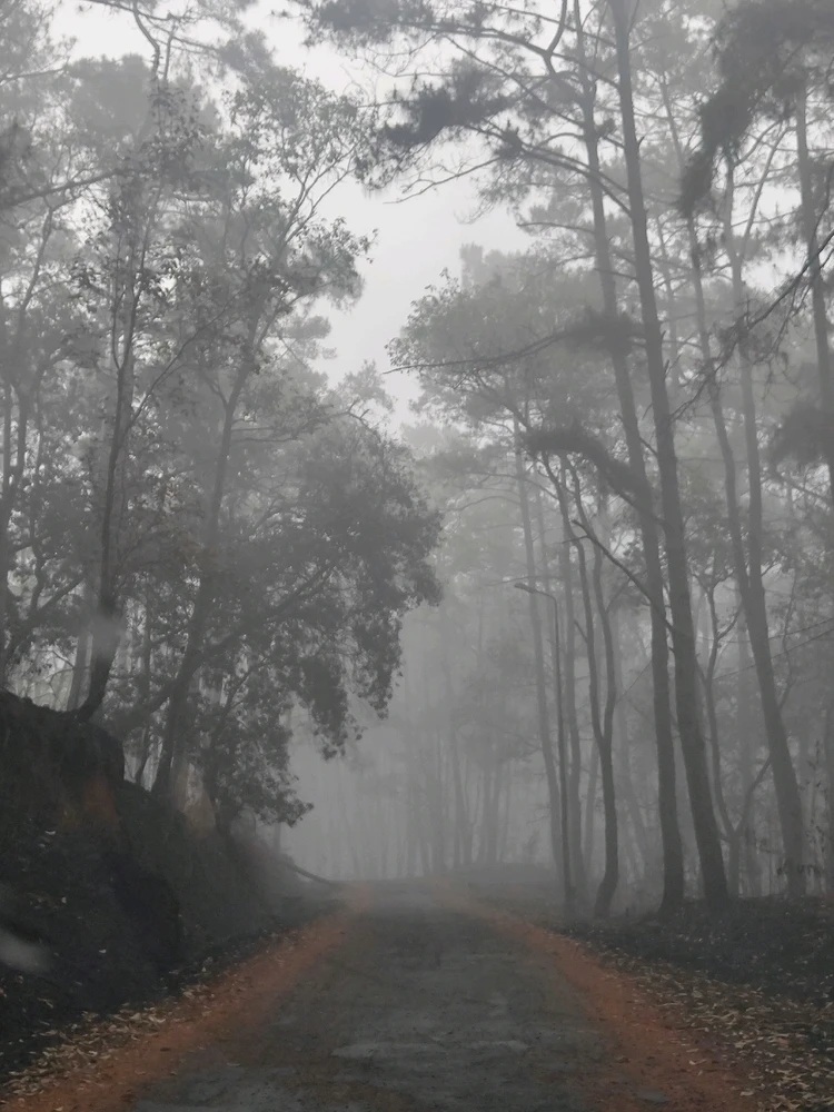 Image uploaded by Jo