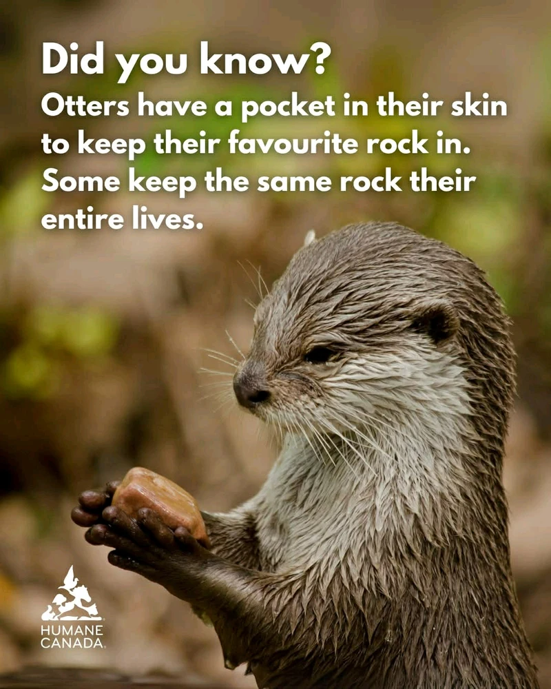 GIF diunggah dening A༗