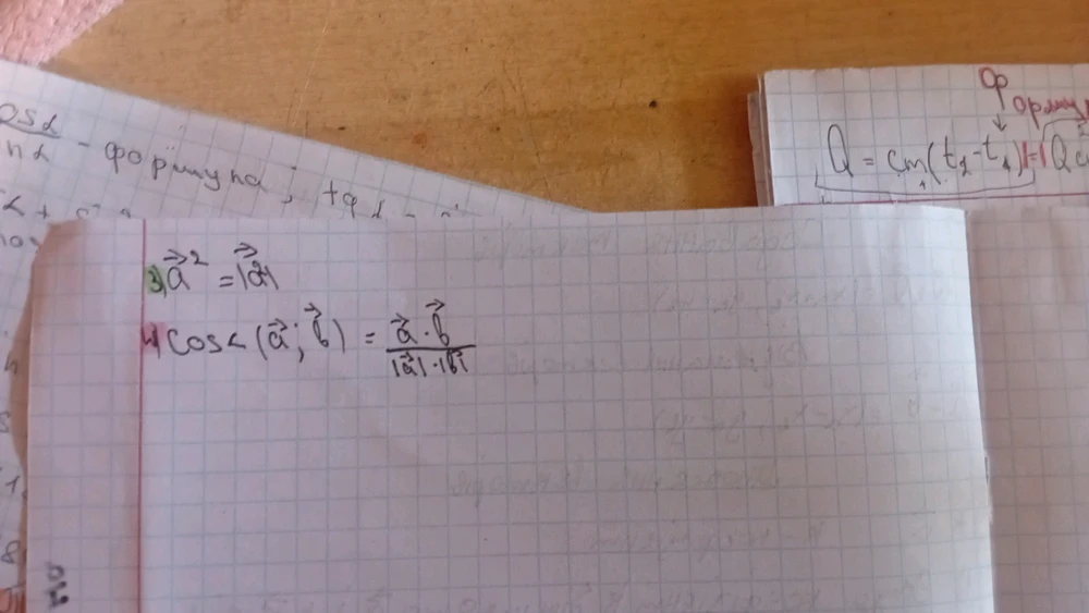 Зображення завантажив Софія