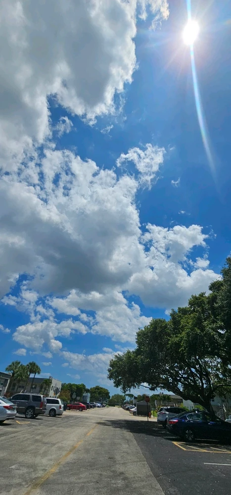 Image uploaded by Liza