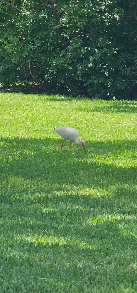 Image uploaded by Liza