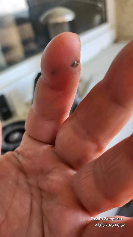 Bild hochgeladen von Devil