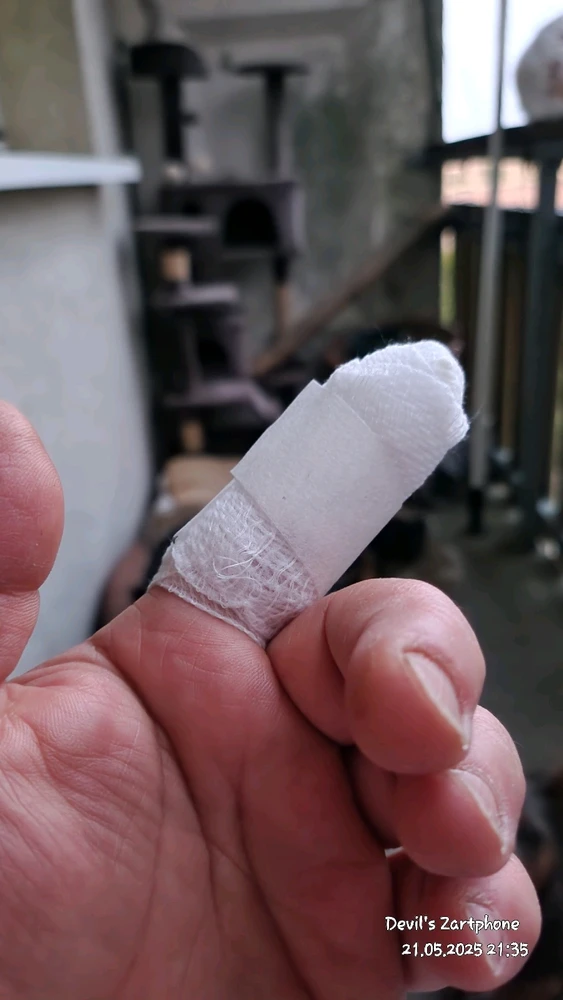 Bild hochgeladen von Devil