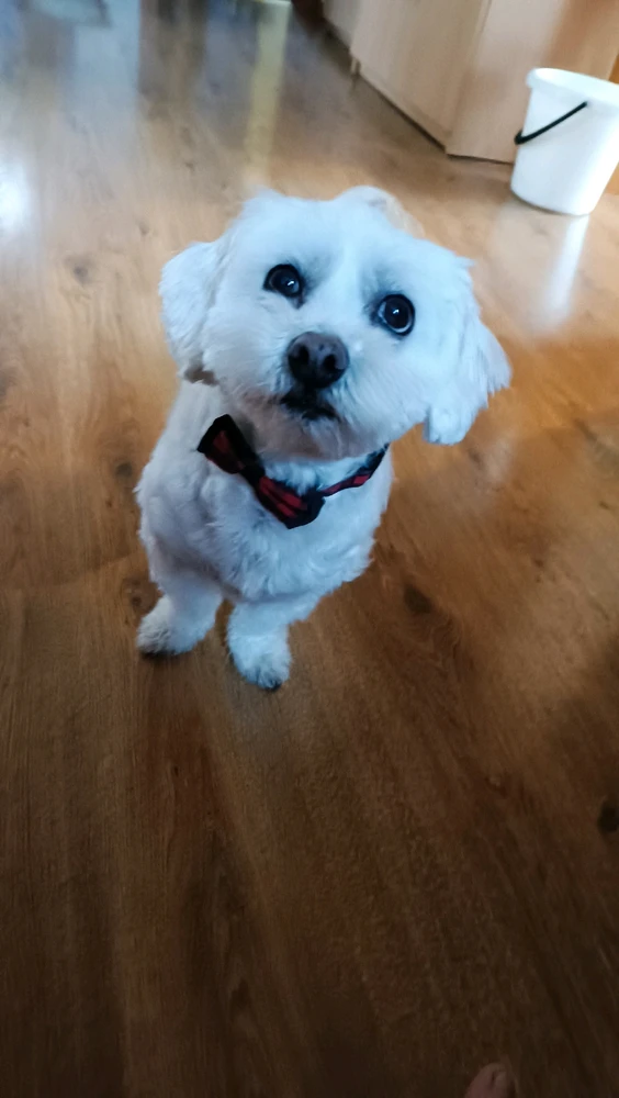 Fotku nahral/-a Kristína