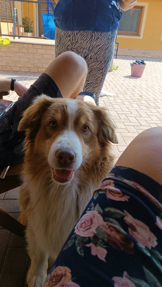 Fotku nahral/-a Kristína