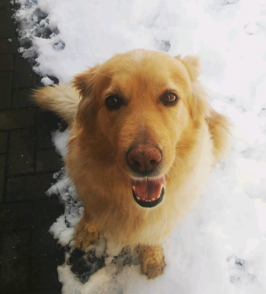 Fotku nahral/-a Kristína