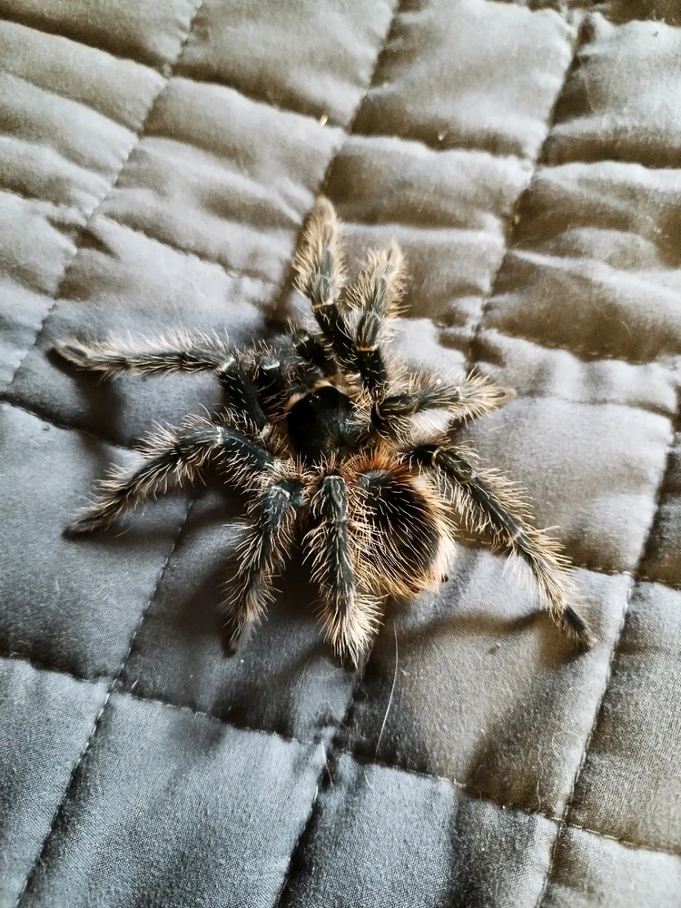 Image uploaded by Jul