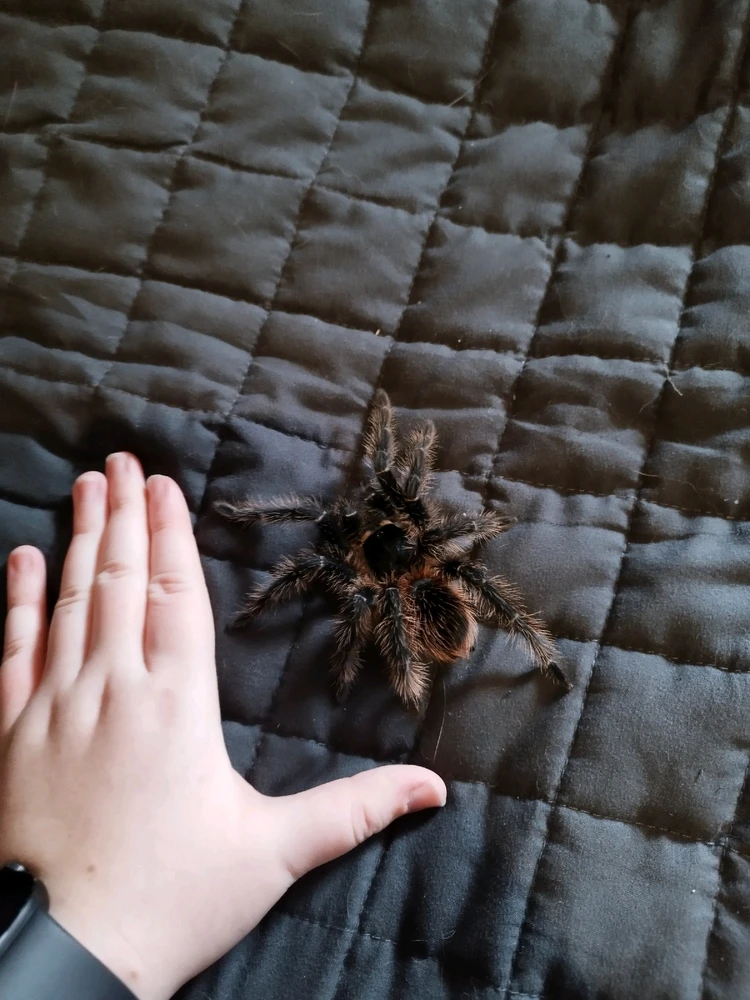 Image uploaded by Jul