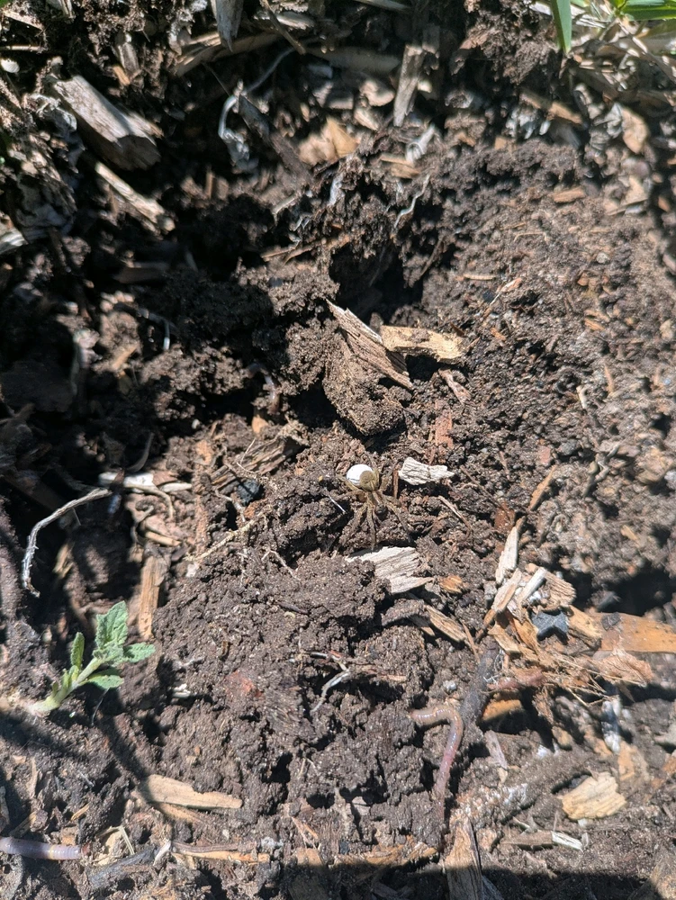 Image uploaded by Zoey