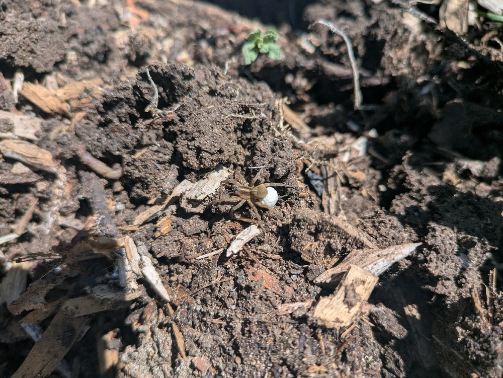 Image uploaded by Zoey