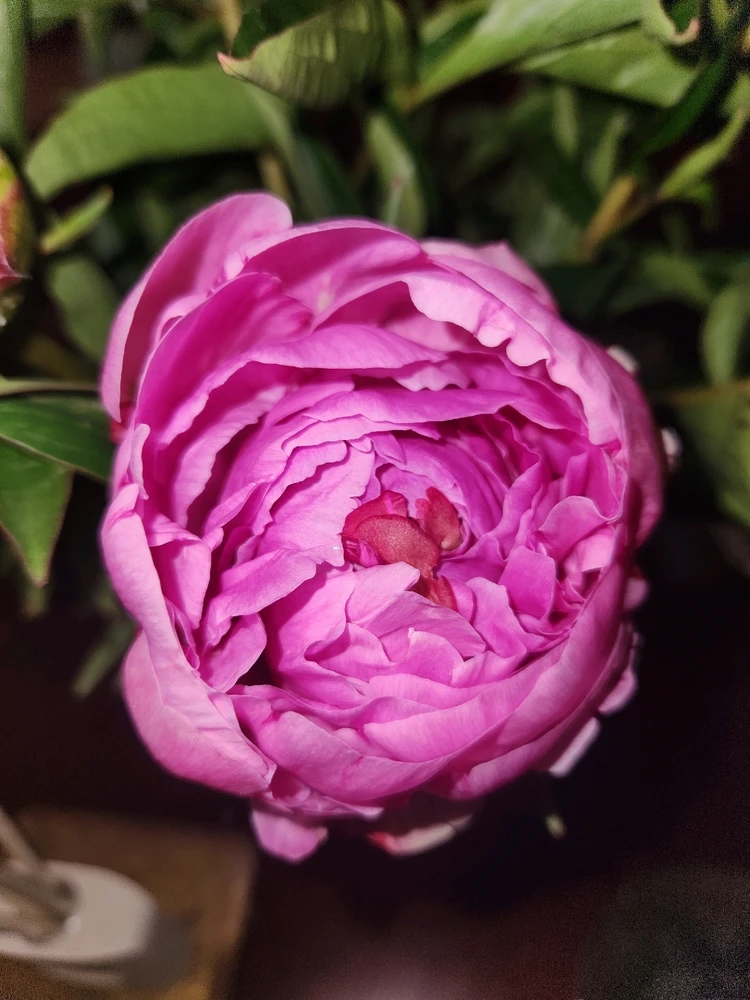 Image uploaded by Elle