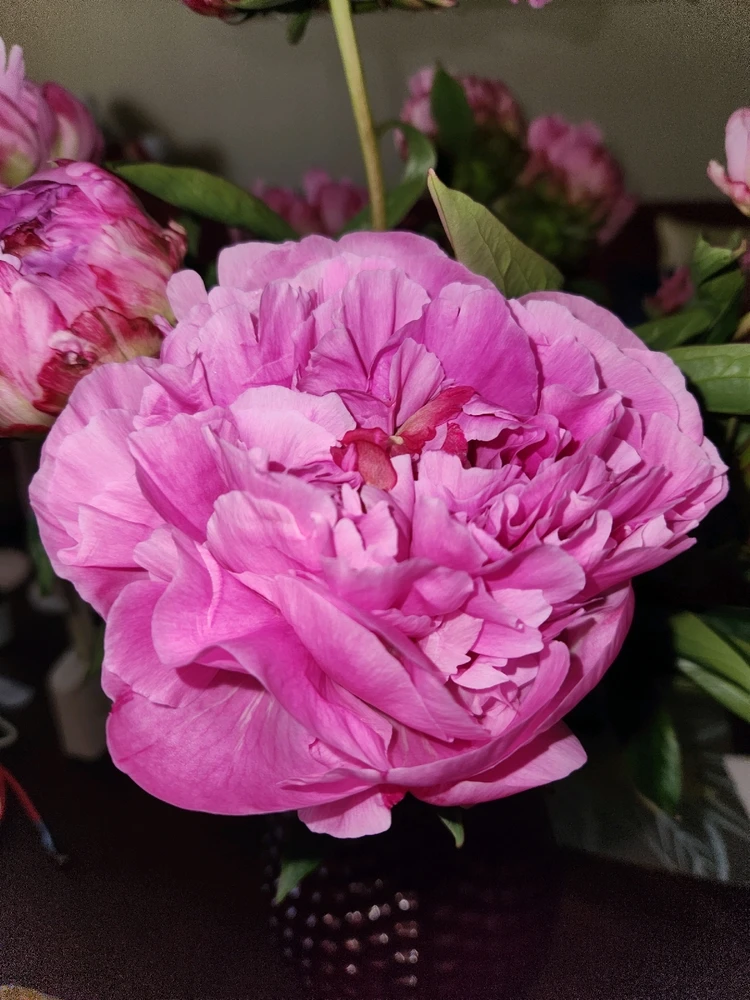 Image uploaded by Elle