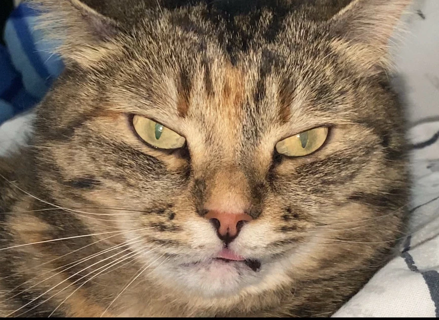 Фото загрузил Vika