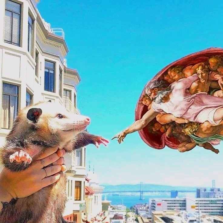 Гіфку завантажив Natalia🦇