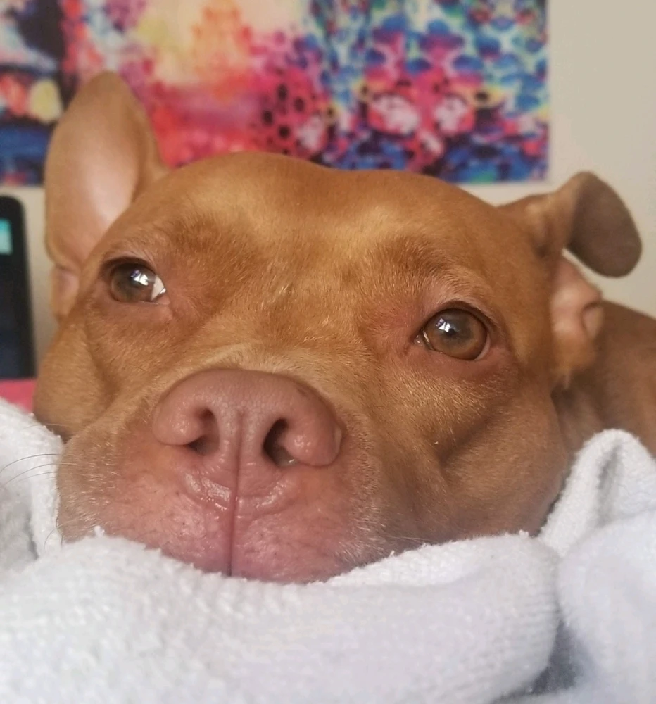 Image uploaded by Moon