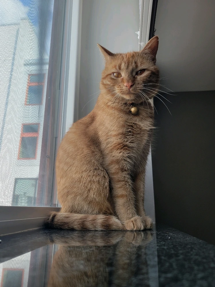 Image uploaded by Moon