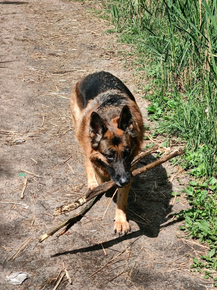 Image uploaded by Яна