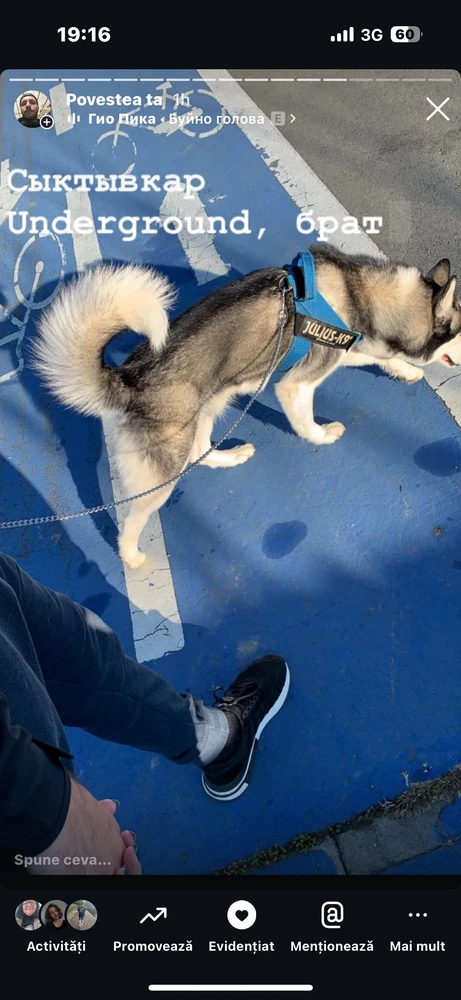 Imagine încărcată de Chis Ionel Marian