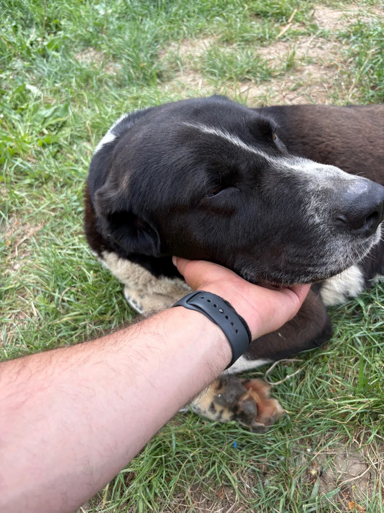 Imagine încărcată de Chis Ionel Marian