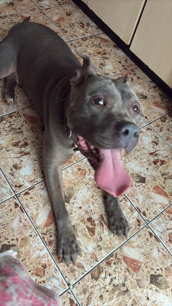 Imagine încărcată de Chis Ionel Marian