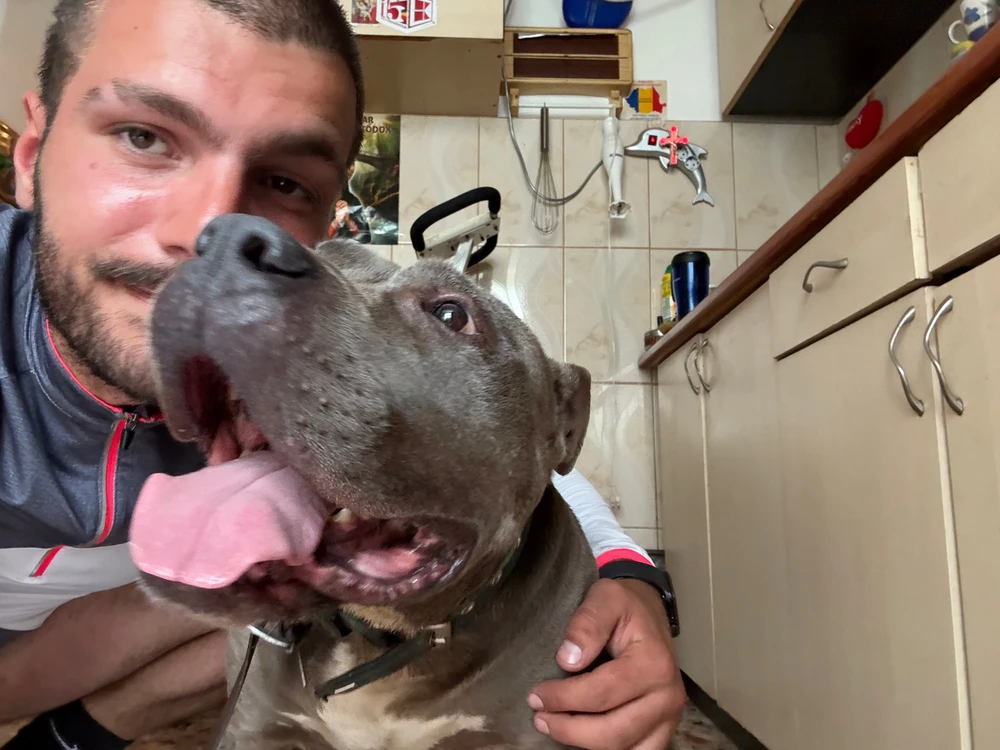 Imagine încărcată de Chis Ionel Marian