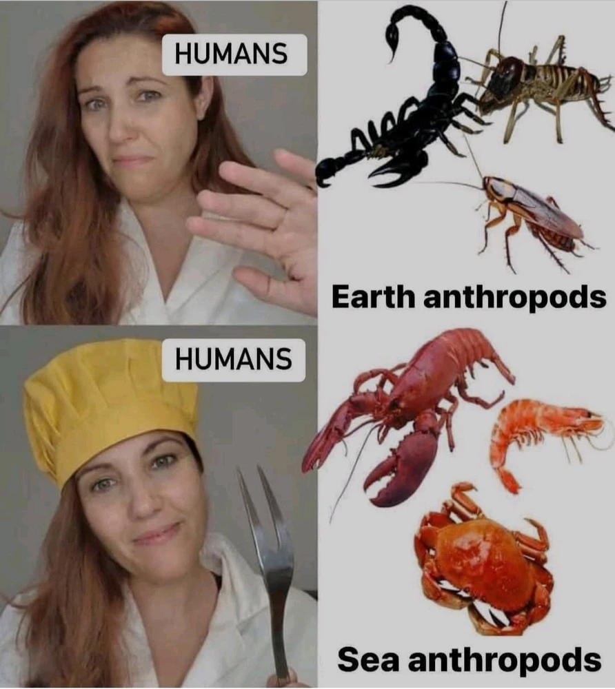 Image ajoutée par Erzulie-Maltese