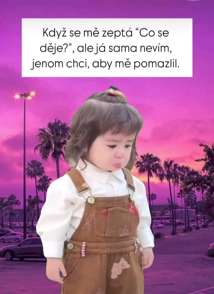 GIF nahrál Domča