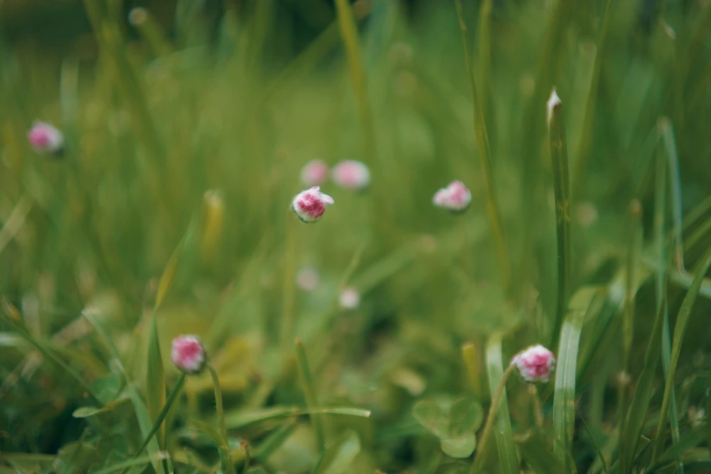 Nuotrauką įkėlė Tim