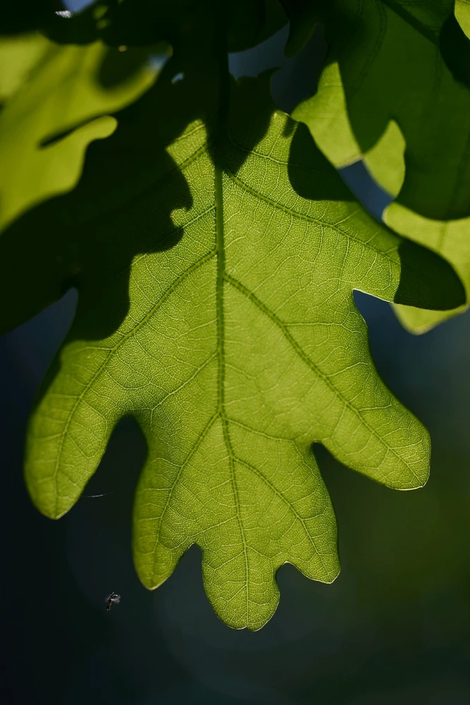 Nuotrauką įkėlė Tim