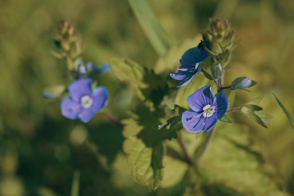 Nuotrauką įkėlė Tim