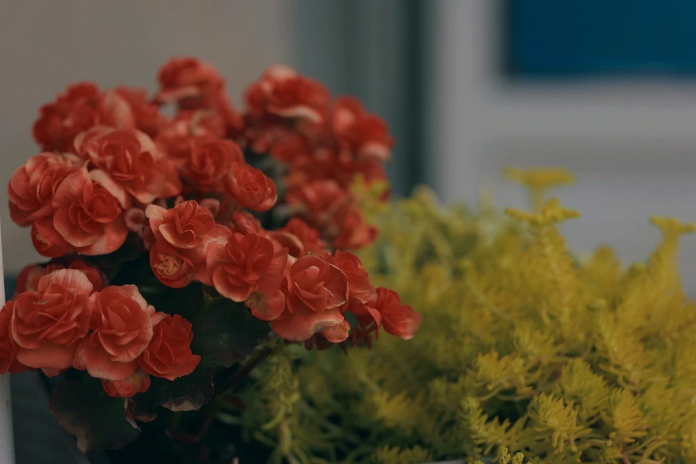 Nuotrauką įkėlė Tim