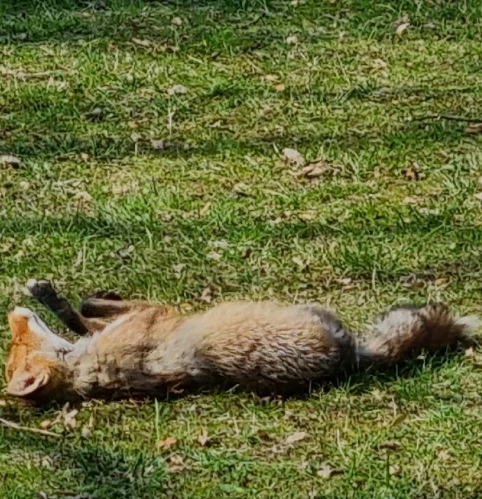 GIF dodany przez Mateusz