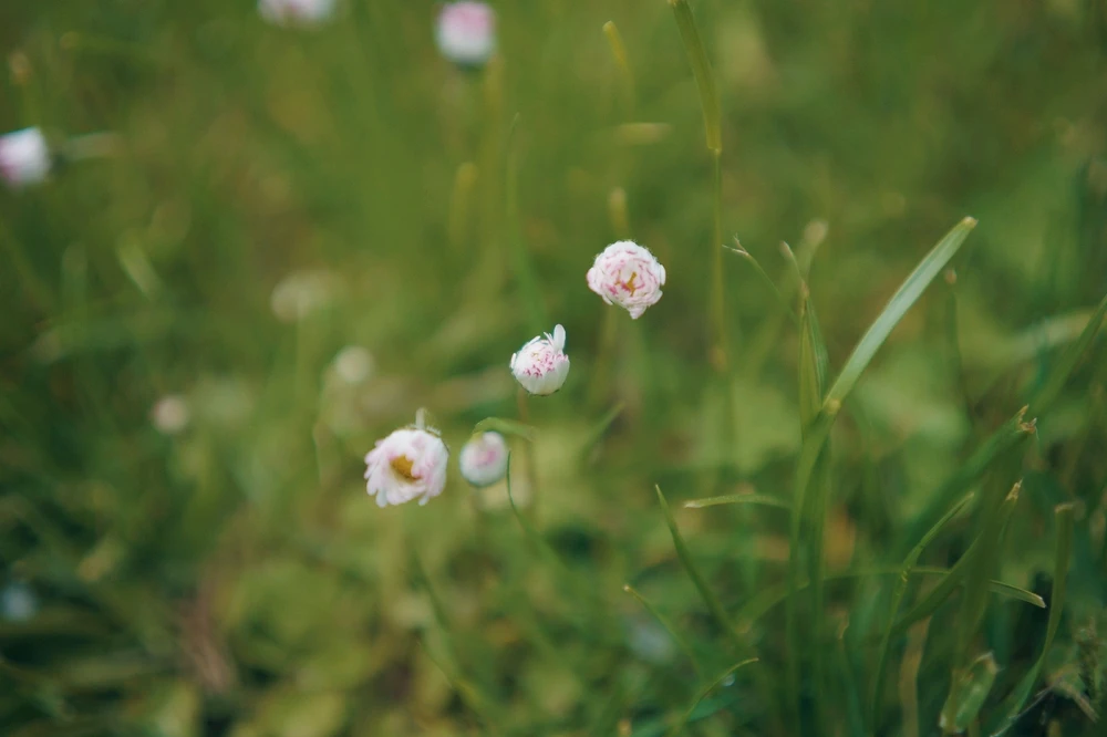 Фото загрузил Tim