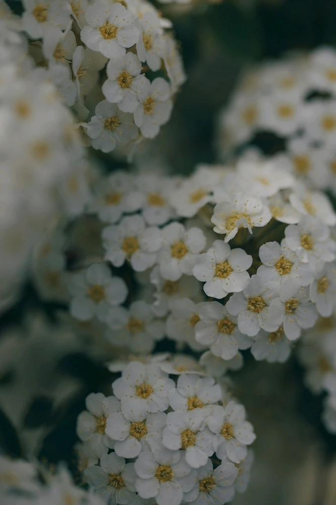 Фото загрузил Tim