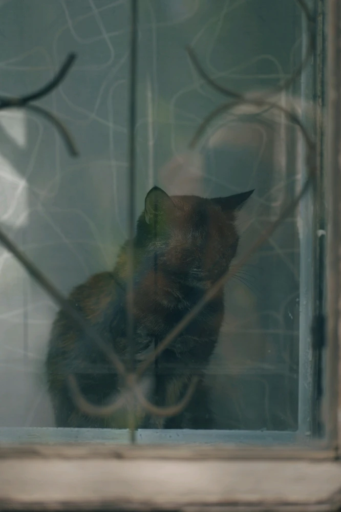 Фото загрузил Tim