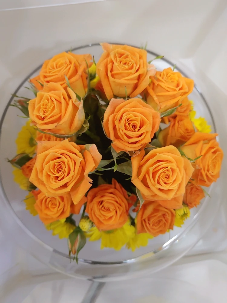 JIN님이 올린 GIF