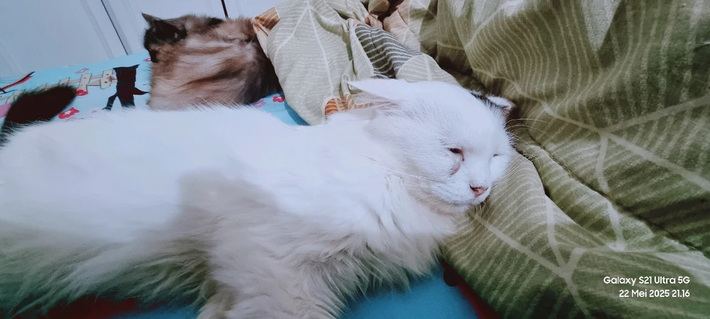 Anaknya papa rayyan hunterku yg ganteng