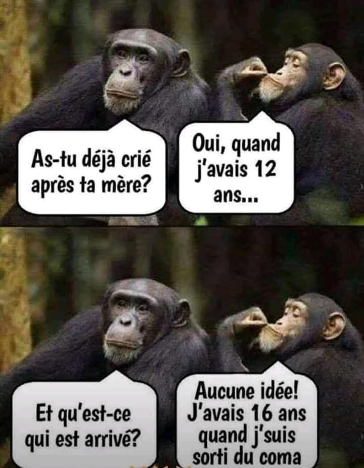 GIF ajouté par Ꭻລԁ𝙚