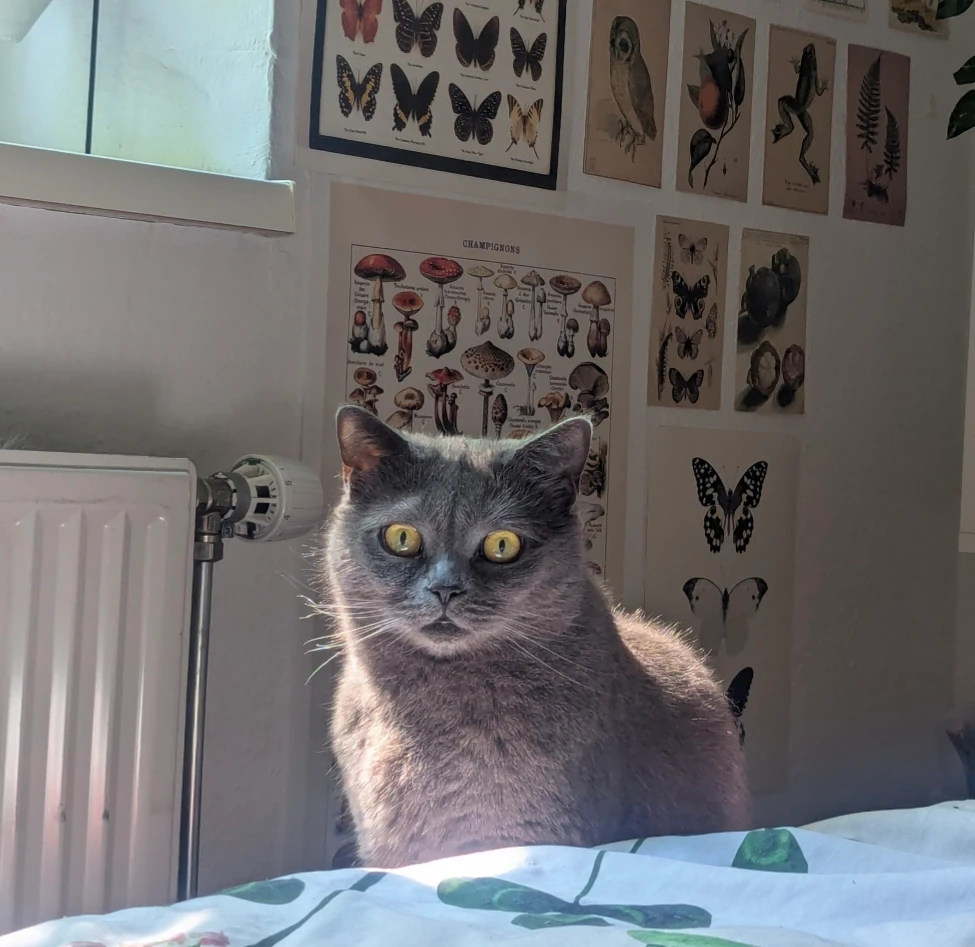 GIF hochgeladen von En