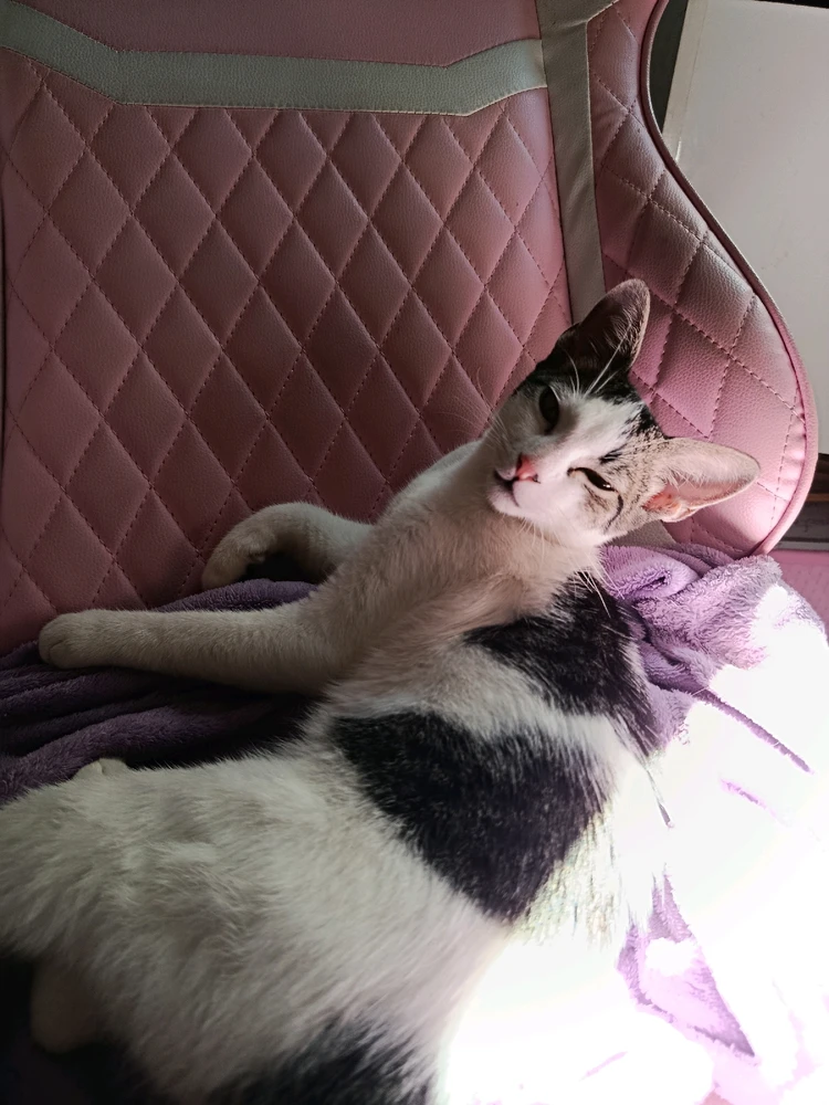 GIF enviado por Jade