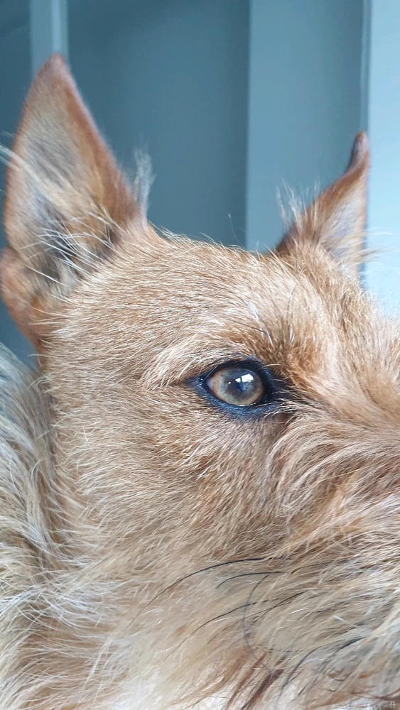 GIF enviado por Mário